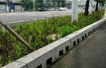 市政道路
